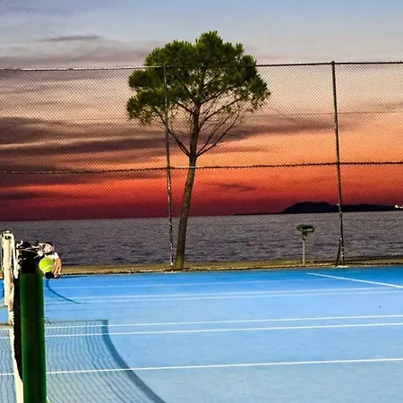 Oa's * Vlore